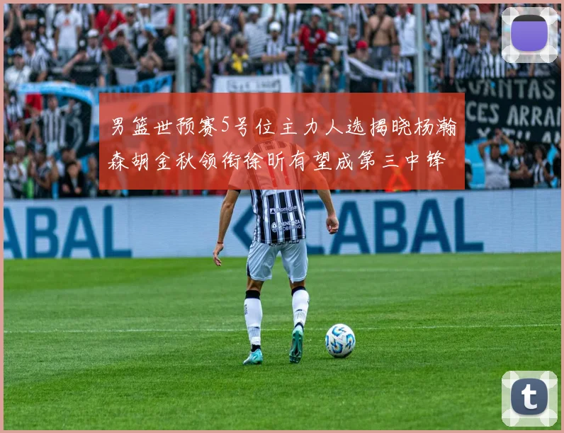 男篮世预赛5号位主力人选揭晓杨瀚森胡金秋领衔徐昕有望成第三中锋